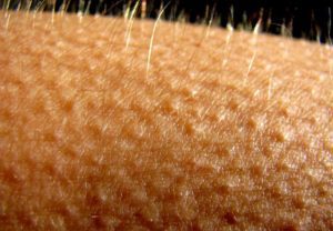 En mi opinión, un ambiente frío no es propicio para la actividad sexual.