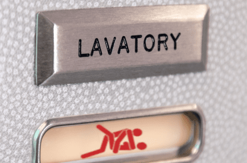 sexo en el baño de un avión