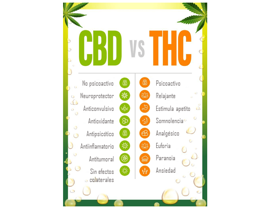 Infografía propiedades de CBD y propiedades de THC