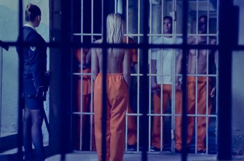 alimentando a las fieras