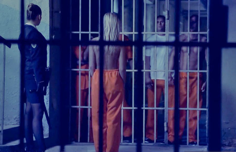 alimentando a las fieras